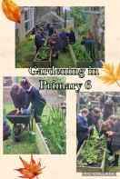 🪴 🌱 🌿 Primary 6 working hard to look after our greenhouse and garden. 🌾